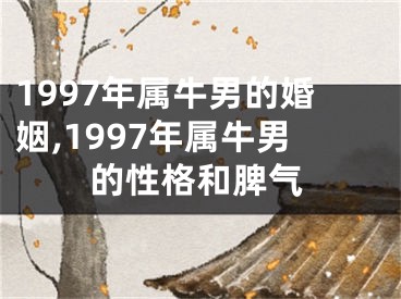 1997年属牛男的婚姻,1997年属牛男的性格和脾气