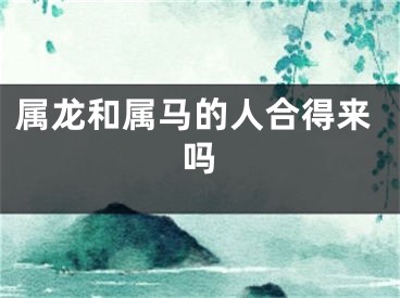 属龙和属马的人合得来吗