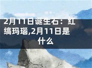 2月11日诞生石：红缟玛瑙,2月11日是什么