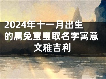 2024年十一月出生的属兔宝宝取名字寓意文雅吉利