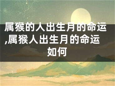 属猴的人出生月的命运,属猴人出生月的命运如何