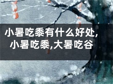 小暑吃黍有什么好处,小暑吃黍,大暑吃谷