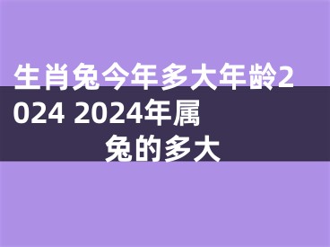 生肖兔今年多大年龄2024 2024年属兔的多大