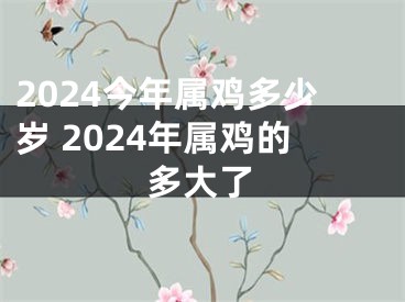 2024今年属鸡多少岁 2024年属鸡的多大了