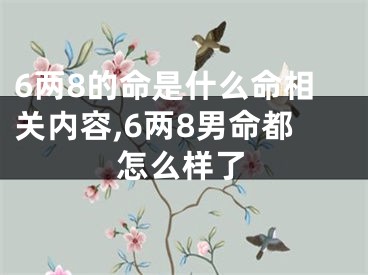 6两8的命是什么命相关内容,6两8男命都怎么样了