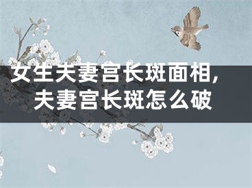 女生夫妻宫长斑面相,夫妻宫长斑怎么破