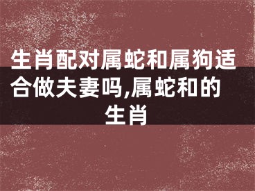 生肖配对属蛇和属狗适合做夫妻吗,属蛇和的生肖