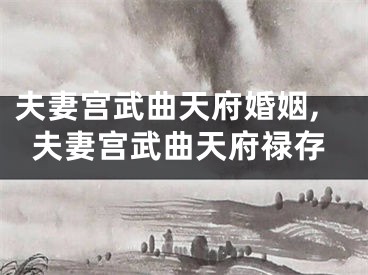 夫妻宫武曲天府婚姻,夫妻宫武曲天府禄存