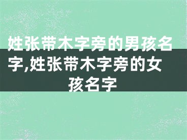 姓张带木字旁的男孩名字,姓张带木字旁的女孩名字