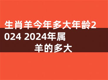 生肖羊今年多大年龄2024 2024年属羊的多大