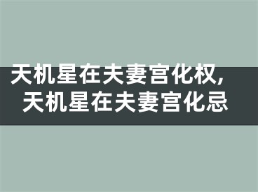 天机星在夫妻宫化权,天机星在夫妻宫化忌
