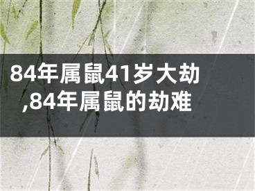 84年属鼠41岁大劫,84年属鼠的劫难