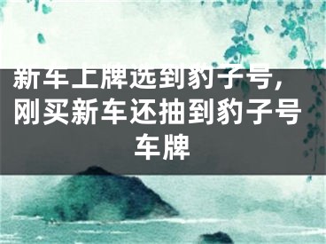 新车上牌选到豹子号,刚买新车还抽到豹子号车牌