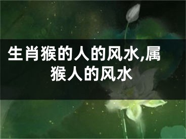 生肖猴的人的风水,属猴人的风水