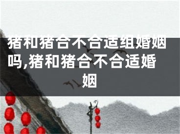 猪和猪合不合适组婚姻吗,猪和猪合不合适婚姻