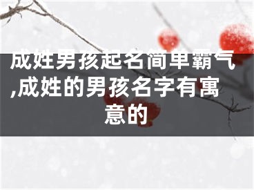 成姓男孩起名简单霸气,成姓的男孩名字有寓意的