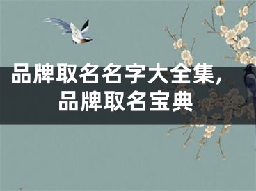 品牌取名名字大全集,品牌取名宝典