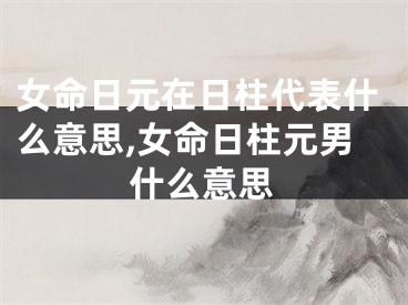 女命日元在日柱代表什么意思,女命日柱元男什么意思