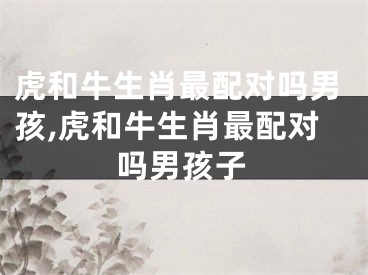 虎和牛生肖最配对吗男孩,虎和牛生肖最配对吗男孩子