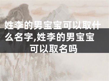 姓李的男宝宝可以取什么名字,姓李的男宝宝可以取名吗