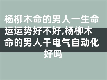 杨柳木命的男人一生命运运势好不好,杨柳木命的男人干电气自动化好吗
