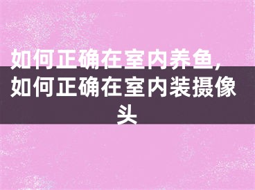 如何正确在室内养鱼,如何正确在室内装摄像头