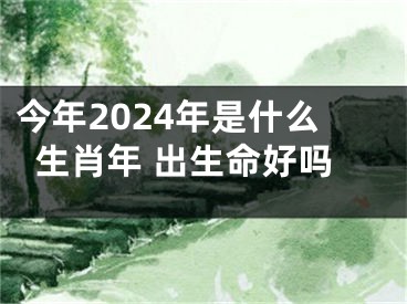 今年2024年是什么生肖年 出生命好吗