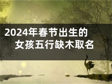2024年春节出生的女孩五行缺木取名