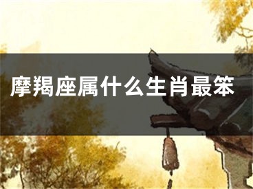 摩羯座属什么生肖最笨