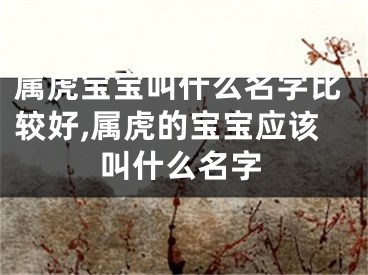 属虎宝宝叫什么名字比较好,属虎的宝宝应该叫什么名字