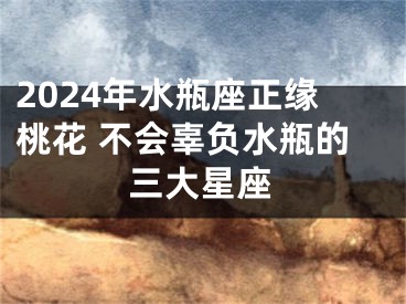 2024年水瓶座正缘桃花 不会辜负水瓶的三大星座