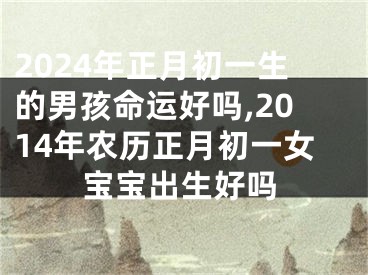 2024年正月初一生的男孩命运好吗,2014年农历正月初一女宝宝出生好吗