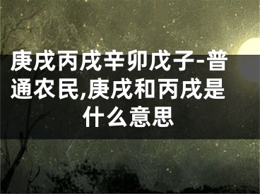 庚戌丙戌辛卯戊子-普通农民,庚戌和丙戌是什么意思