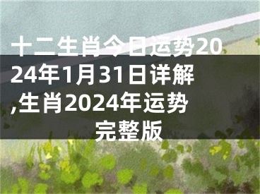 十二生肖今日运势2024年1月31日详解,生肖2024年运势完整版