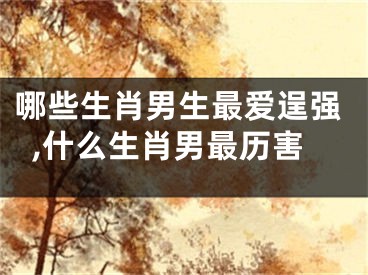 哪些生肖男生最爱逞强,什么生肖男最历害
