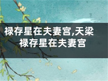 禄存星在夫妻宫,天梁禄存星在夫妻宫