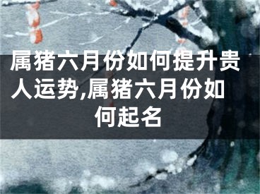属猪六月份如何提升贵人运势,属猪六月份如何起名