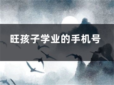 旺孩子学业的手机号