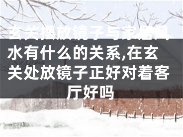 玄关摆放镜子与家居风水有什么的关系,在玄关处放镜子正好对着客厅好吗