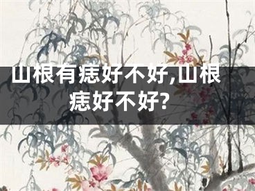 山根有痣好不好,山根痣好不好?