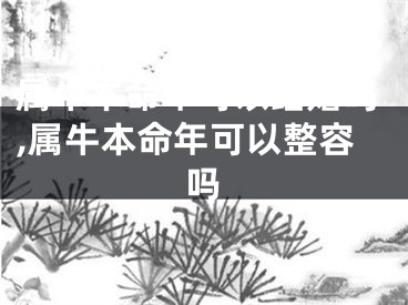 属牛本命年可以结婚吗,属牛本命年可以整容吗