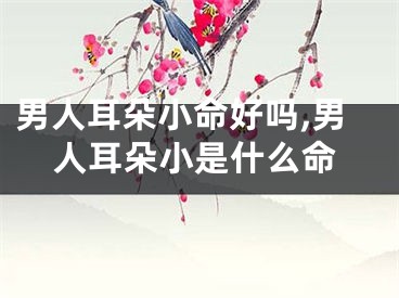 男人耳朵小命好吗,男人耳朵小是什么命