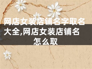 网店女装店铺名字取名大全,网店女装店铺名怎么取