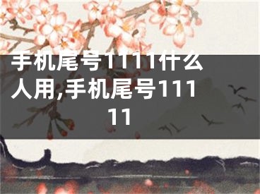 手机尾号1111什么人用,手机尾号11111