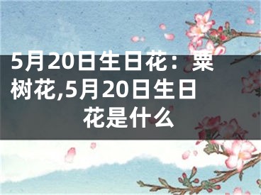 5月20日生日花：粟树花,5月20日生日花是什么