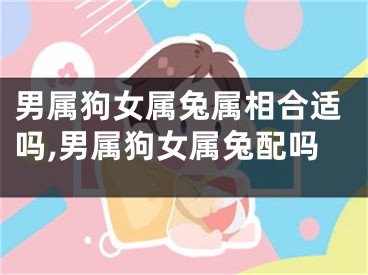 男属狗女属兔属相合适吗,男属狗女属兔配吗