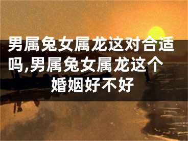 男属兔女属龙这对合适吗,男属兔女属龙这个婚姻好不好