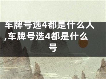 车牌号选4都是什么人,车牌号选4都是什么号