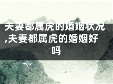 夫妻都属虎的婚姻状况,夫妻都属虎的婚姻好吗