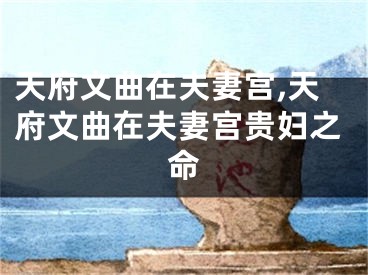 天府文曲在夫妻宫,天府文曲在夫妻宫贵妇之命